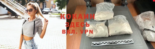 тгк Снежногорск