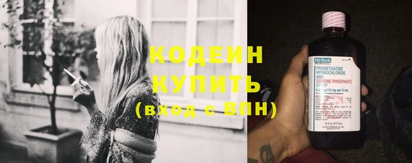 крисы Богородицк
