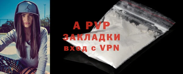 крисы Богородицк