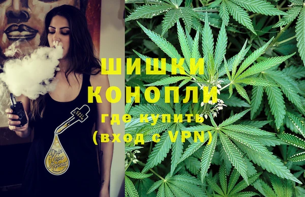 a pvp Богородск