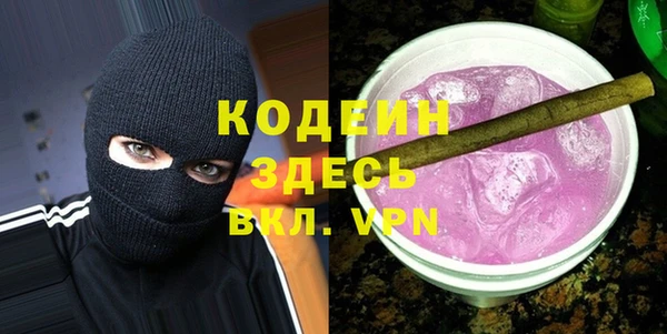 крисы Богородицк