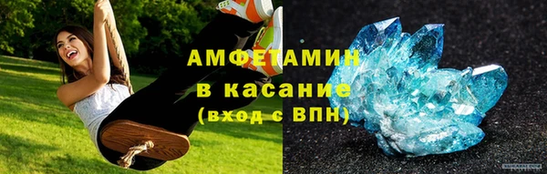 крисы Богородицк