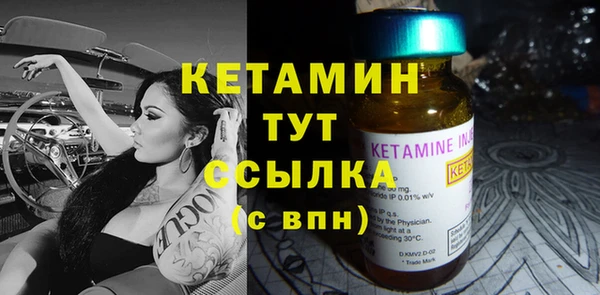 крисы Богородицк