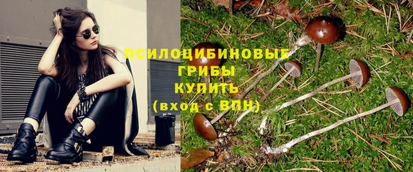 бутик Богданович